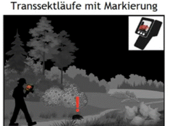Transektlauf mit Markierung Transektlauf mit Markierung